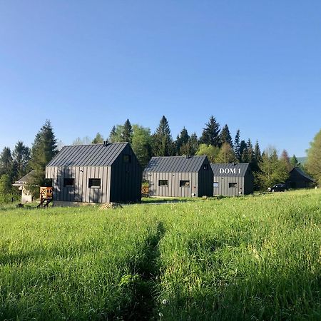 Bieszczadzka Laka Villa Kalnica  ภายนอก รูปภาพ